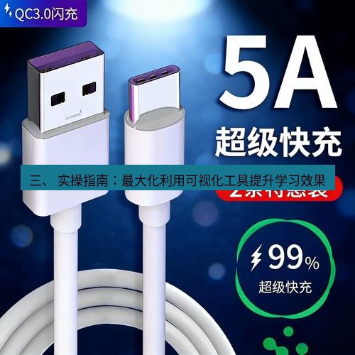 有道翻译桌面端 三、 实操指南：最大化利用可视化工具提升学习效果