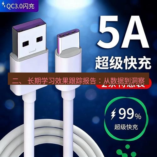 有道翻译桌面端 二、 长期学习效果跟踪报告：从数据到洞察