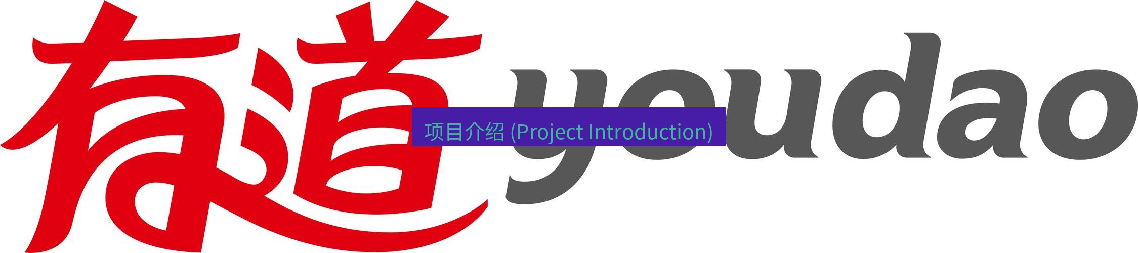 有道翻译桌面端 项目介绍 (Project Introduction)