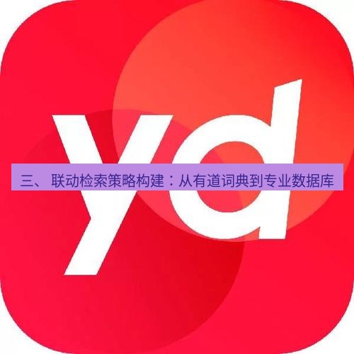 有道翻译桌面端 三、 联动检索策略构建：从有道词典到专业数据库