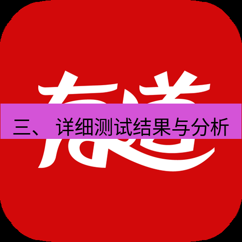 有道翻译桌面端 三、 详细测试结果与分析