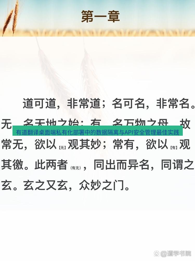 有道翻译桌面端 有道翻译桌面端私有化部署中的数据隔离与API安全管理最佳实践