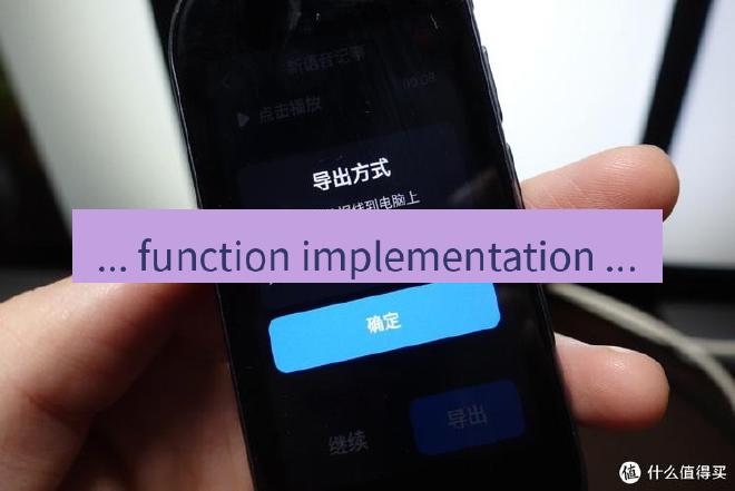 有道翻译桌面端 ... function implementation ...