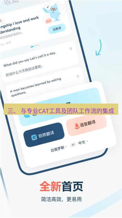 有道翻译桌面端 三、 与专业CAT工具及团队工作流的集成