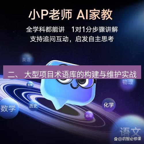 有道翻译桌面端 二、 大型项目术语库的构建与维护实战
