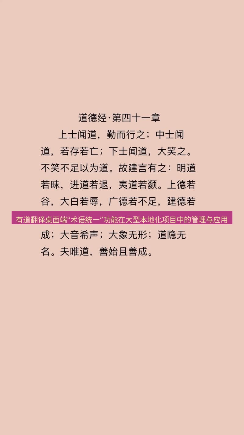有道翻译桌面端 有道翻译桌面端“术语统一”功能在大型本地化项目中的管理与应用