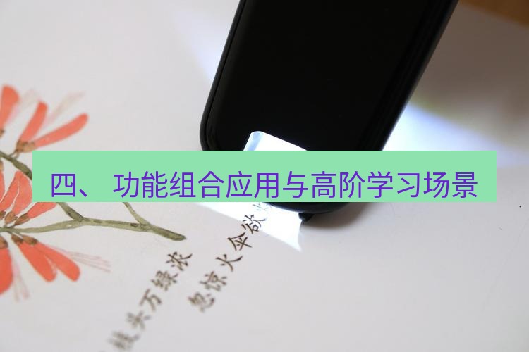 有道翻译桌面端 四、 功能组合应用与高阶学习场景