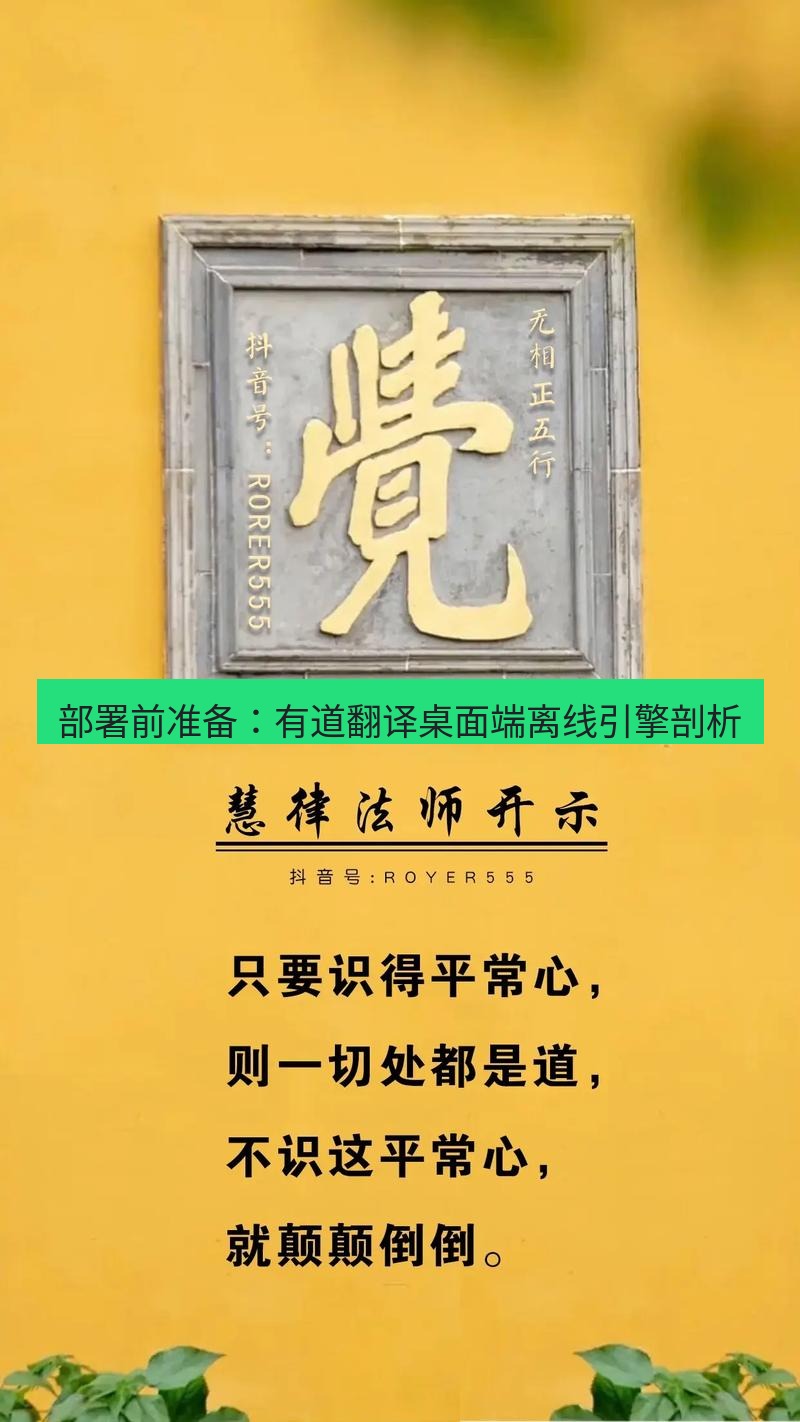 有道翻译桌面端 部署前准备：有道翻译桌面端离线引擎剖析