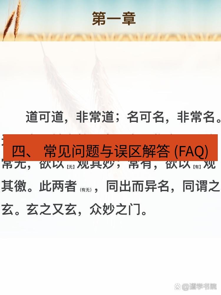 有道翻译桌面端 四、 常见问题与误区解答 (FAQ)