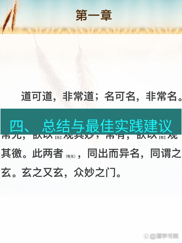 有道翻译桌面端 四、 总结与最佳实践建议