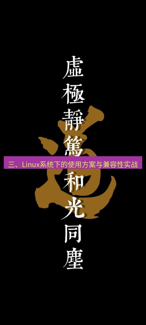 有道翻译桌面端 三、Linux系统下的使用方案与兼容性实战