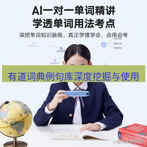 有道翻译桌面端 有道词典例句库深度挖掘与使用