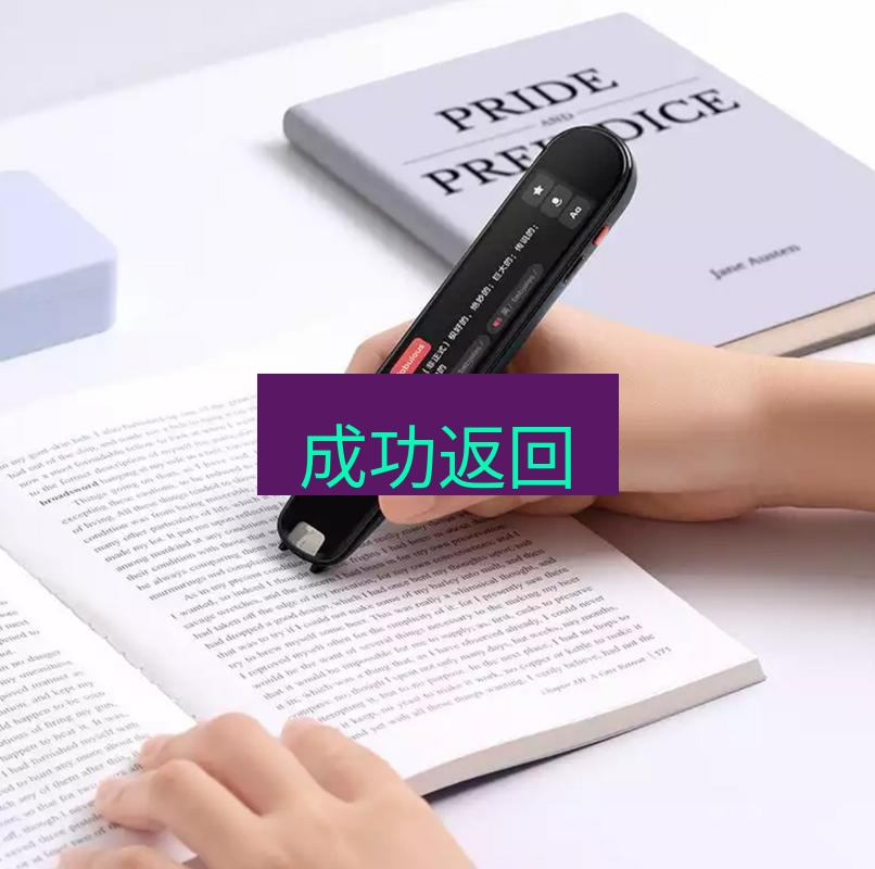 有道翻译桌面端 成功返回