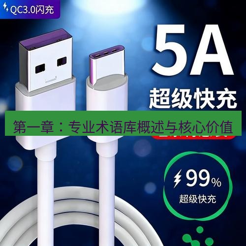 有道翻译桌面端 第一章：专业术语库概述与核心价值