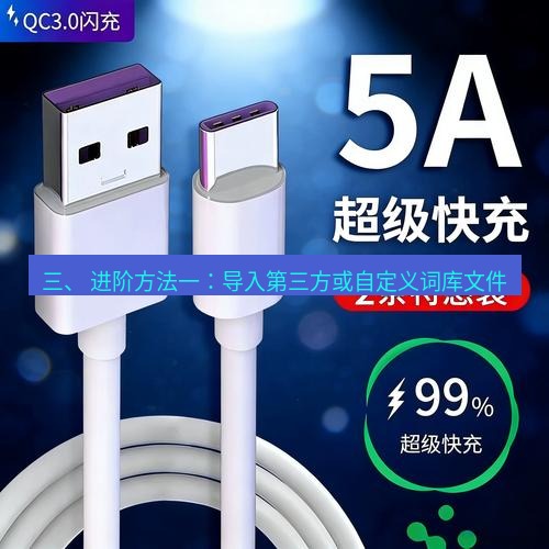 有道翻译桌面端 三、 进阶方法一：导入第三方或自定义词库文件