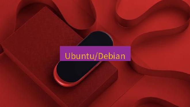 有道翻译桌面端 Ubuntu/Debian