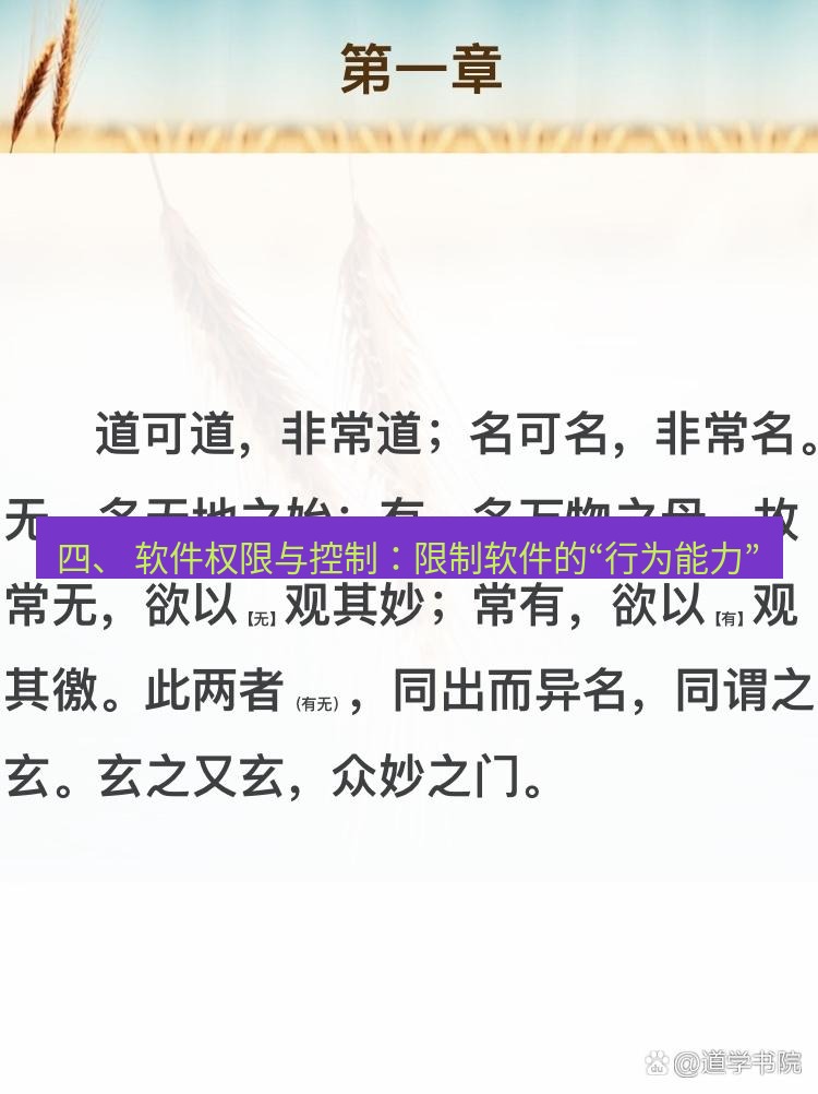 有道翻译桌面端 四、 软件权限与控制：限制软件的“行为能力”