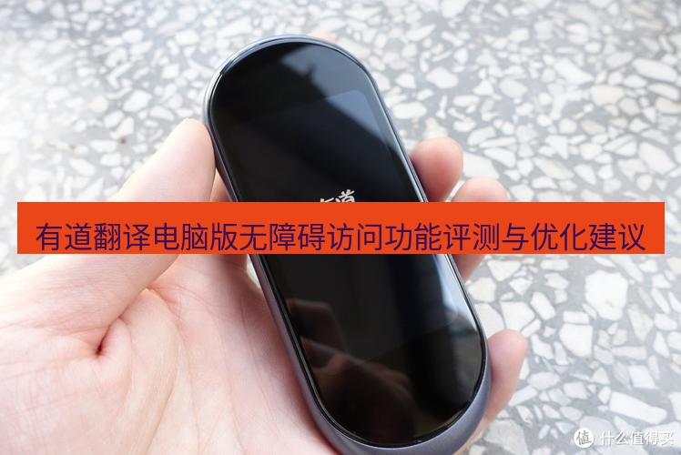 有道翻译桌面端 有道翻译电脑版无障碍访问功能评测与优化建议