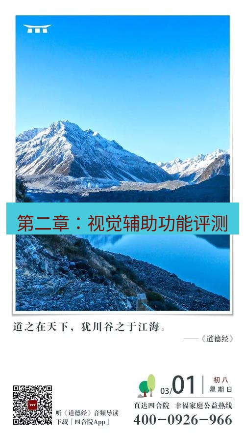 有道翻译桌面端 第二章：视觉辅助功能评测