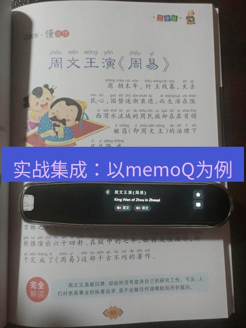 有道翻译桌面端 实战集成：以memoQ为例