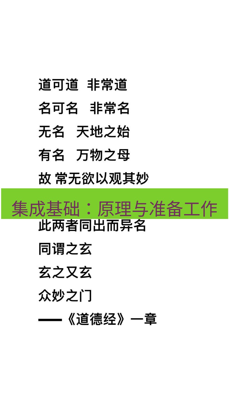 有道翻译桌面端 集成基础：原理与准备工作