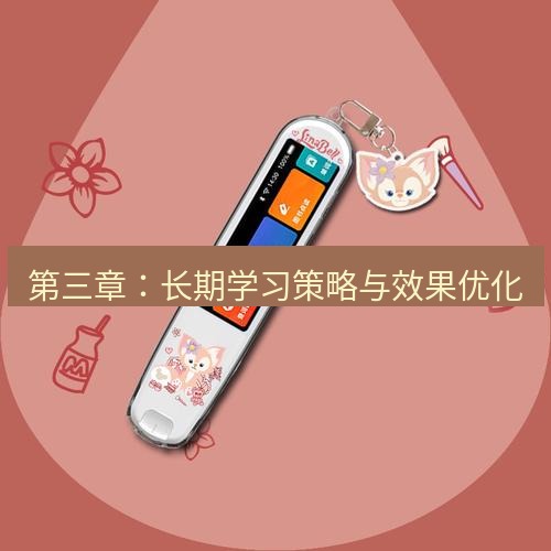 有道翻译桌面端 第三章：长期学习策略与效果优化