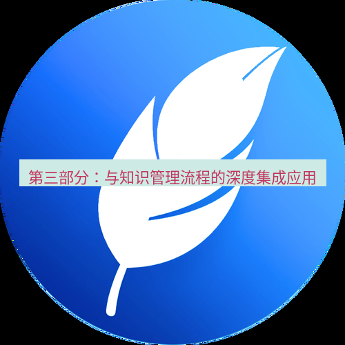 有道翻译桌面端 第三部分：与知识管理流程的深度集成应用