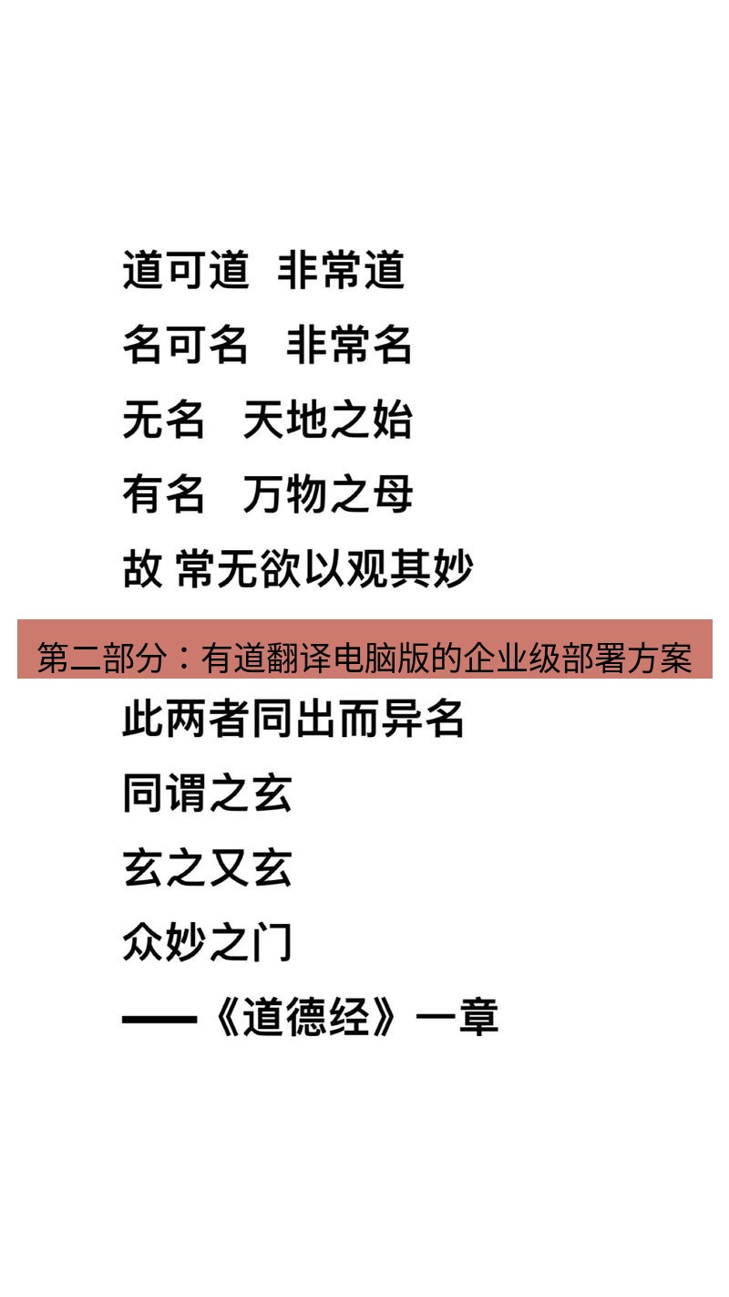 有道翻译桌面端 第二部分：有道翻译电脑版的企业级部署方案