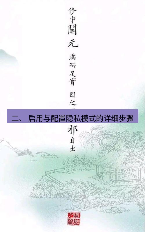 有道翻译桌面端 二、 启用与配置隐私模式的详细步骤