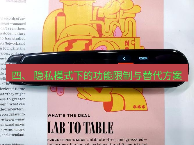 有道翻译桌面端 四、 隐私模式下的功能限制与替代方案