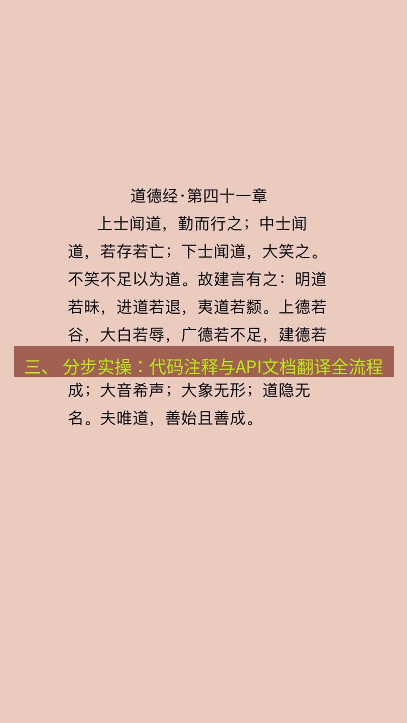有道翻译桌面端 三、 分步实操：代码注释与API文档翻译全流程