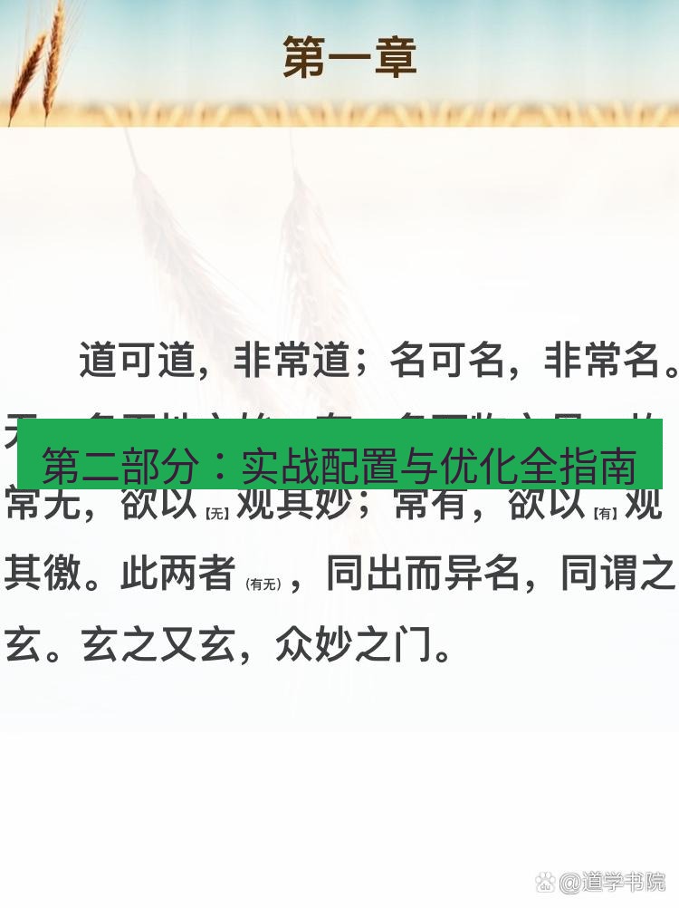 有道翻译桌面端 第二部分：实战配置与优化全指南