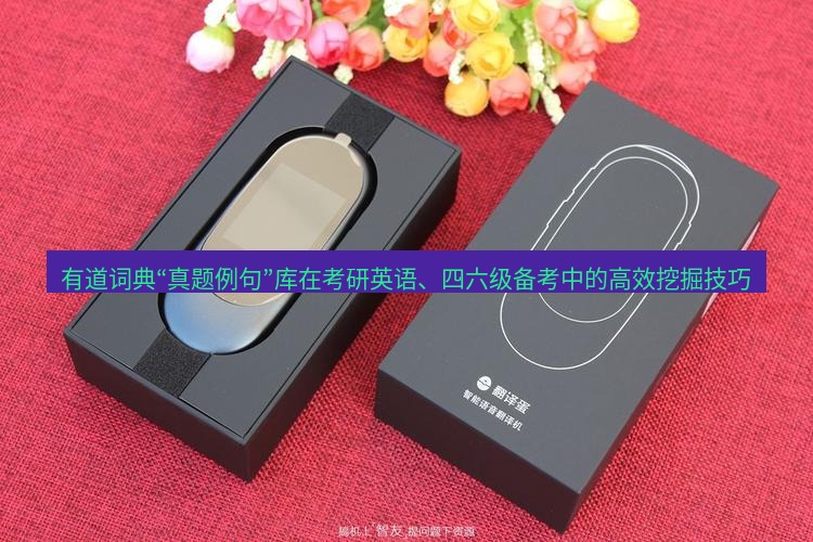 有道翻译桌面端 有道词典“真题例句”库在考研英语、四六级备考中的高效挖掘技巧