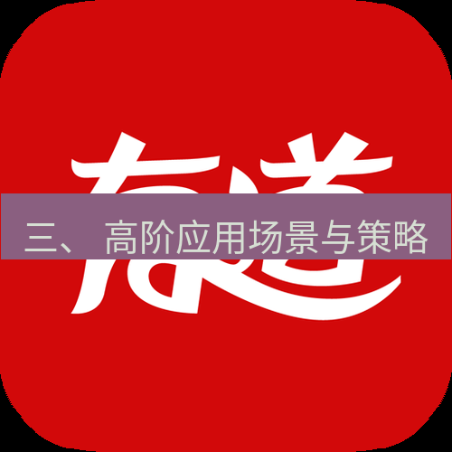 有道翻译桌面端 三、 高阶应用场景与策略