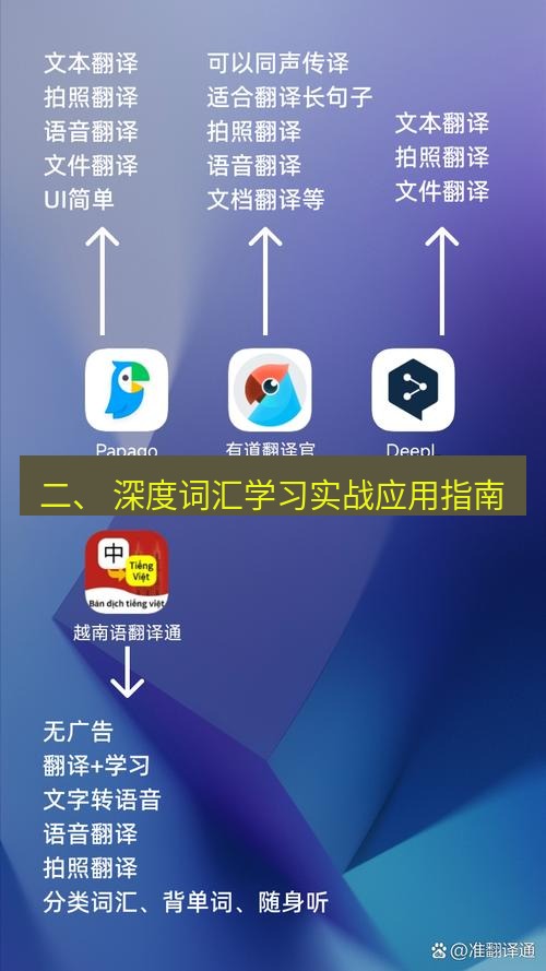 有道翻译桌面端 二、 深度词汇学习实战应用指南