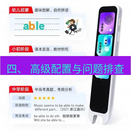 有道翻译桌面端 四、 高级配置与问题排查