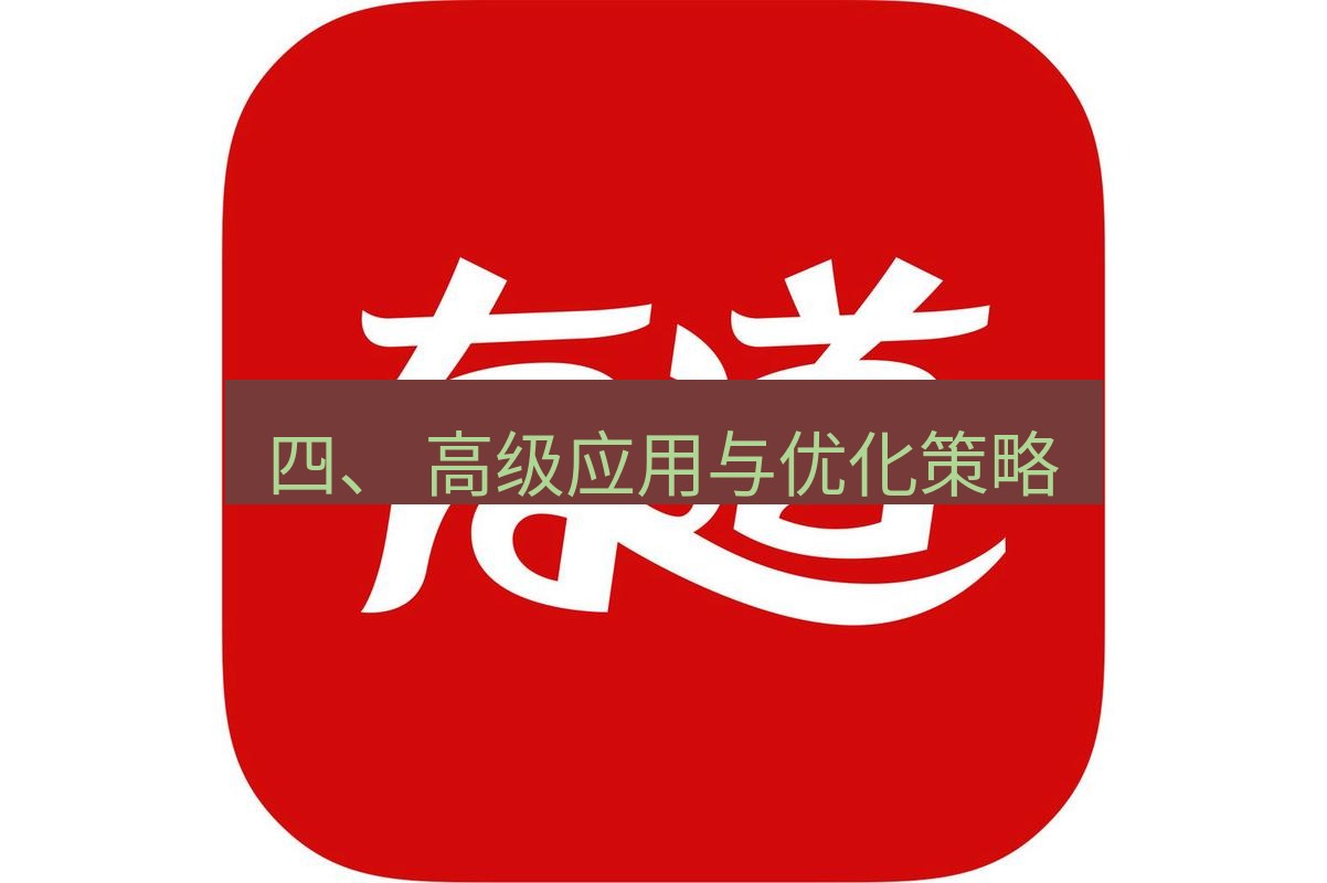 有道翻译桌面端 四、 高级应用与优化策略