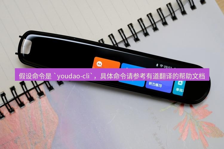 有道翻译桌面端 假设命令是 `youdao-cli`，具体命令请参考有道翻译的帮助文档