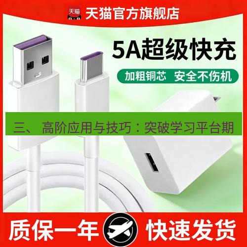有道翻译桌面端 三、 高阶应用与技巧：突破学习平台期