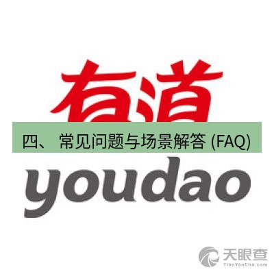 有道翻译桌面端 四、 常见问题与场景解答 (FAQ)