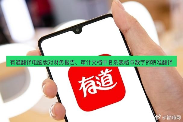 有道翻译桌面端 有道翻译电脑版对财务报告、审计文档中复杂表格与数字的精准翻译