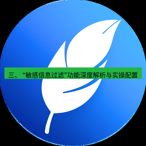 有道翻译桌面端 三、 “敏感信息过滤”功能深度解析与实操配置