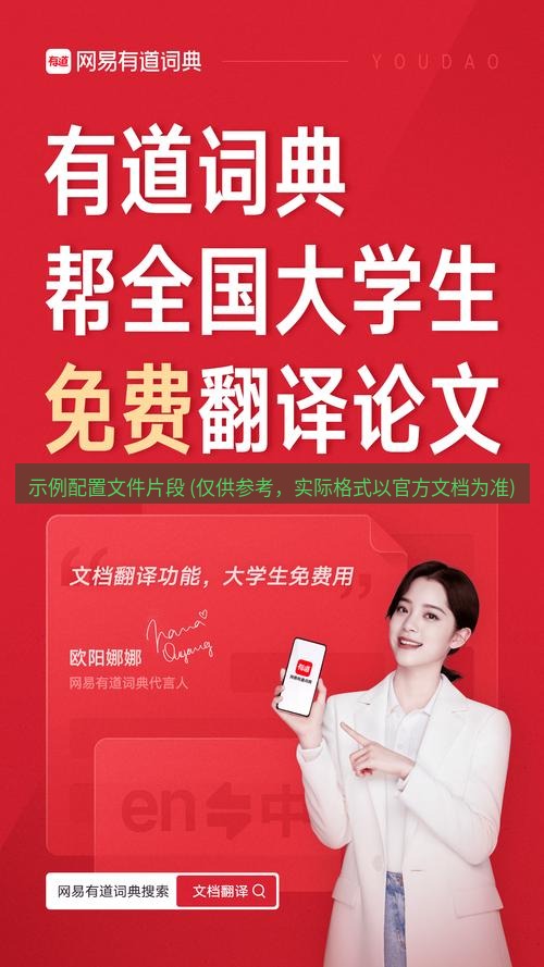 有道翻译桌面端 示例配置文件片段 (仅供参考，实际格式以官方文档为准)