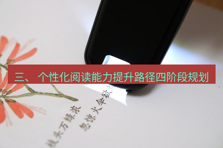 有道翻译桌面端 三、 个性化阅读能力提升路径四阶段规划
