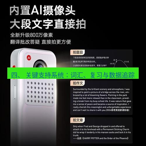 有道翻译桌面端 四、 关键支持系统：词汇、复习与数据追踪