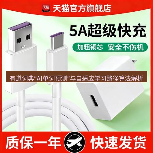 有道翻译桌面端 有道词典“AI单词预测”与自适应学习路径算法解析