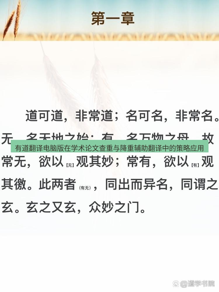 有道翻译桌面端 有道翻译电脑版在学术论文查重与降重辅助翻译中的策略应用
