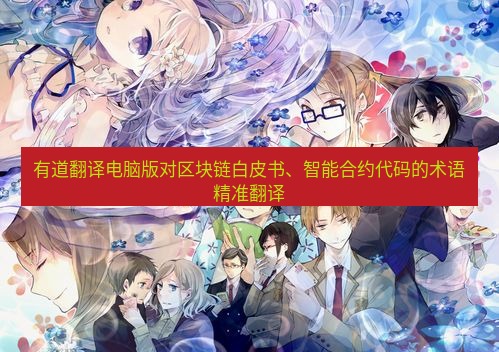 有道翻译桌面端 有道翻译电脑版对区块链白皮书、智能合约代码的术语精准翻译
