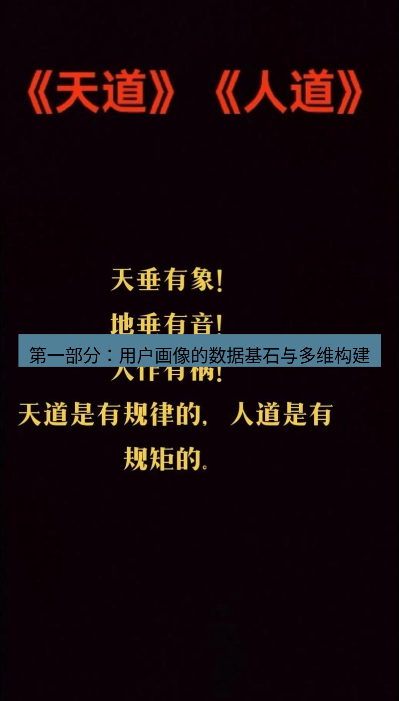 有道翻译桌面端 第一部分：用户画像的数据基石与多维构建
