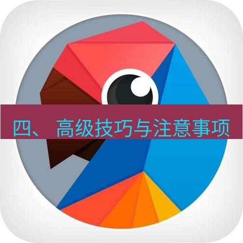 有道翻译桌面端 四、 高级技巧与注意事项